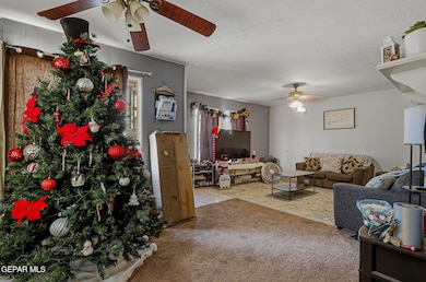 4504 Nashville Ave, El Paso, TX 79903 - photo 5