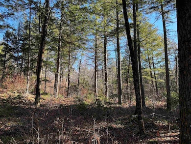 481 Chocorua Mountain Hwy, Tamworth, NH 03886 - photo 4