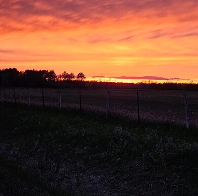 19146 320th St, Sebeka, MN 56477 - photo 7