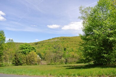 Lush, green view of Monument Mt