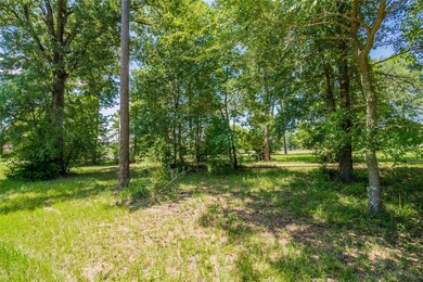 161 N Forest Dr, Huntsville, TX 77340 - photo 3