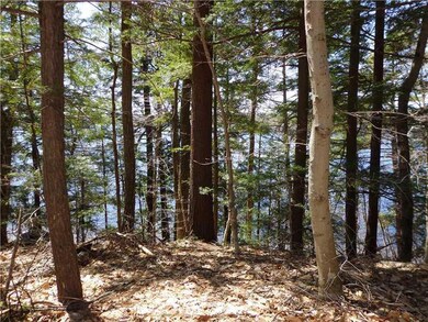 0 Lake Ave, Gray, ME 04039 - photo 4