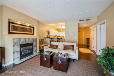 Spring Ave Station unit 202, La Grange, IL 60525 - photo 3