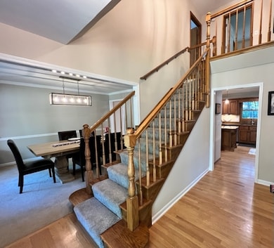 1007 Shimer Ct, Naperville, IL 60565 - photo 4