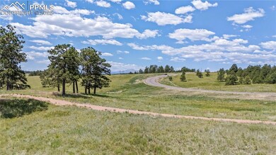 10125 Alamar Way, Black Forest, CO 80908 - photo 6
