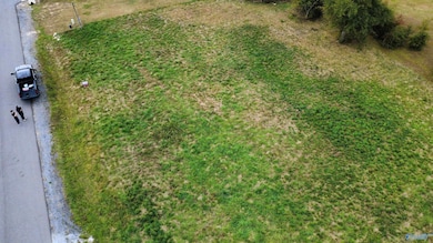 2 Edgewood St, Rainsville, AL 35986 - photo 6