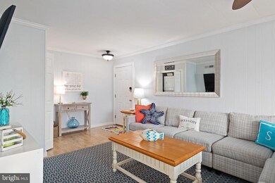 424 Bayshore Dr unit 4204, 204, Ocean City, MD 21842 - photo 5