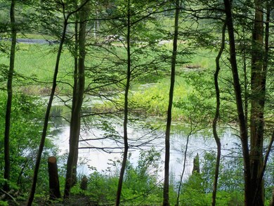 water view with trees