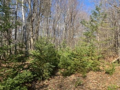 0 Gore Rd, Lancaster, NH 03584 - photo 3