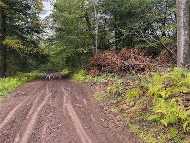 0 Alma Hill Rd unit R1637531, Alma, NY 14895 - photo 2