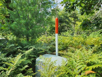 VL 4.5 Acr Wilderness Trail, Peacock Township, MI 49656 - photo 2