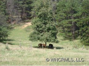 000 Moores Valley Ln, Leicester, NC 28748 - photo 4