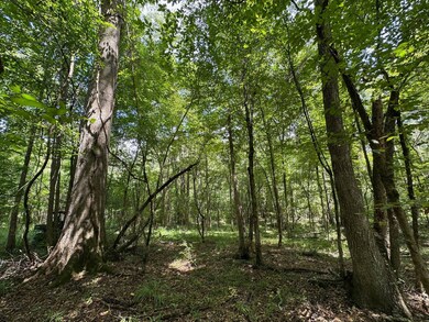 1 Railroad Ln, Pinola, MS 39149 - photo 7