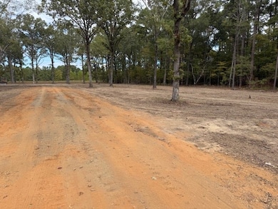 TBD Hwy 53, Bradley, AR 71861 - photo 4