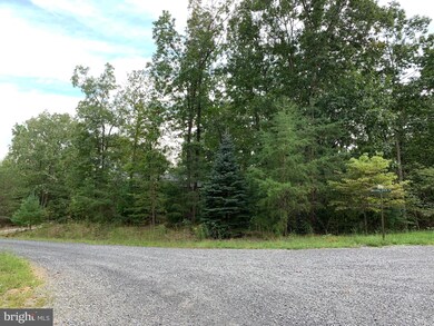 6 Walking Stick Rd, Baker, WV 26801 - photo 7