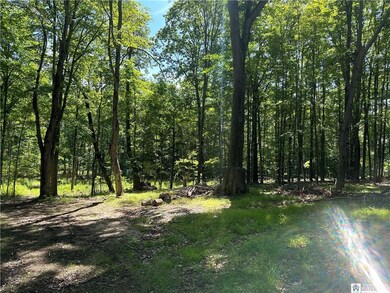 Entrance from Snowball Hollow Rd