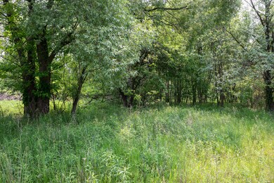 Cedar Springs Property-18