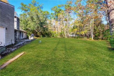 Back yard