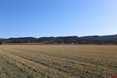 LucaTBD Lot 3 5790 Rd, Montrose, CO 81403 - photo 5
