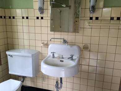 302 W Chestnut St, Malden, IL 61337 - photo 7