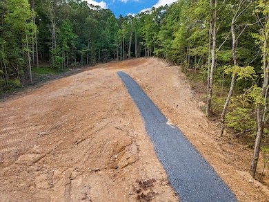 1023 Keith Salem Rd, Ringgold, GA 30736 - photo 3