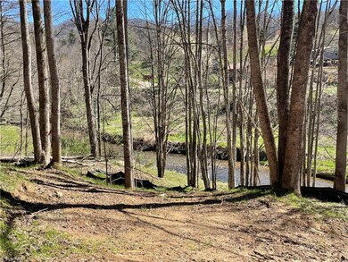 6 Stonegate Ln, Creston, NC 28615 - photo 7