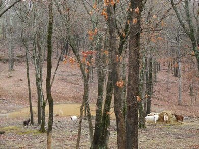 16372 Low Gap Rd, West Fork, AR 72774 - photo 3