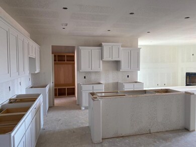 801 Holbrook Rd, Springtown, TX 76082 - photo 2