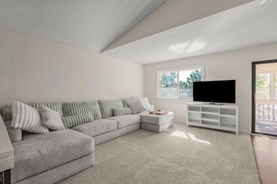 Main Living room lets in a lot of sunlight.