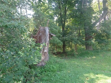 Wooded property behind yard!