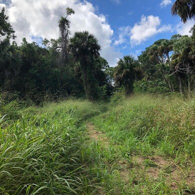 path to Indian River 1