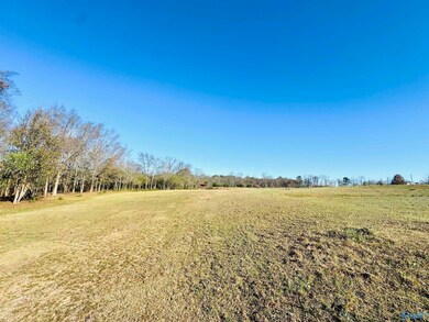 627 Neel School Rd, Danville, AL 35619 - photo 3