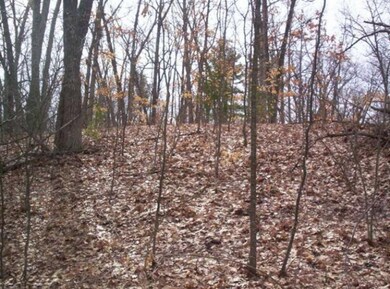 1 Lakeshore, Merrill Township, MI 49309 - photo 7