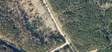 1041 Clint Williams Rd, Lincolnton, GA 30817 - photo 5