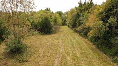 Looking South from outside the hunting cabin.