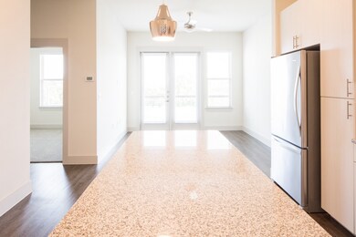 2101 W Rosedale St unit 201, Fort Worth, TX 76104 - photo 6