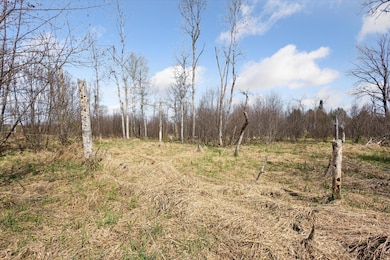 02-13386-Potter-Rd-Bear-Lake-MI-49614-Wi