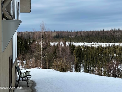 29653 Paris St, Soldotna, AK 99669 - photo 4