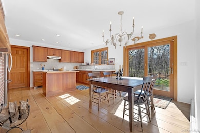 331 Grape Hollow Rd, Holmes, NY 12531 - photo 5