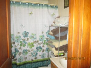 Main floor bath