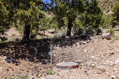5-597 Mule Deer Rd, Central