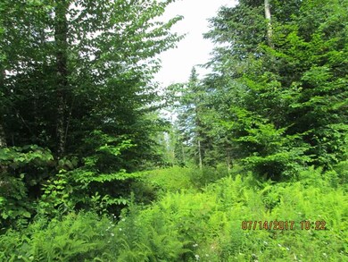 0 Washburn unit 3 4611612, Columbia, NH 03576 - photo 3