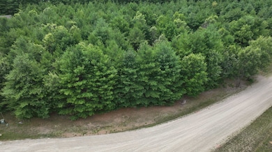 Lot 15 Sandy Pines Ct, Redgranite, WI 54970 - photo 6