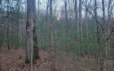 Additional View
