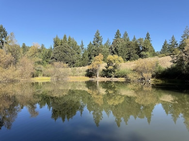 2160 E Blue Rock Rd, Garberville, CA 95542 - photo 2