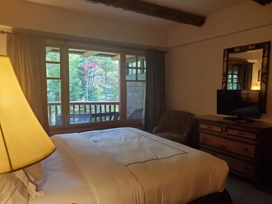 7 Whiteface Inn Ln unit 205 Int 11, Lake Placid, NY 12946 - photo 7