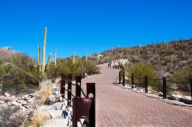 lot 6 driveway-2