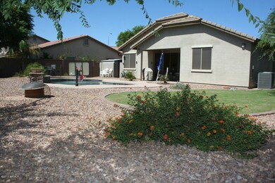 Backyard 1