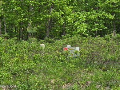 0 Blue Heron Way unit PWBPW241477, Pike County, PA 18428 - photo 4