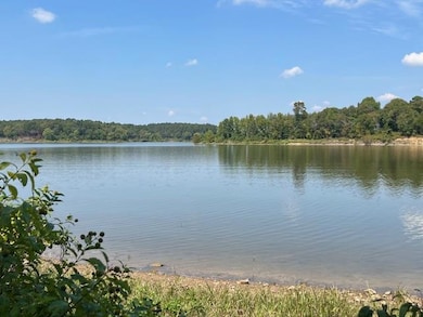 Water view with a heavily wooded area